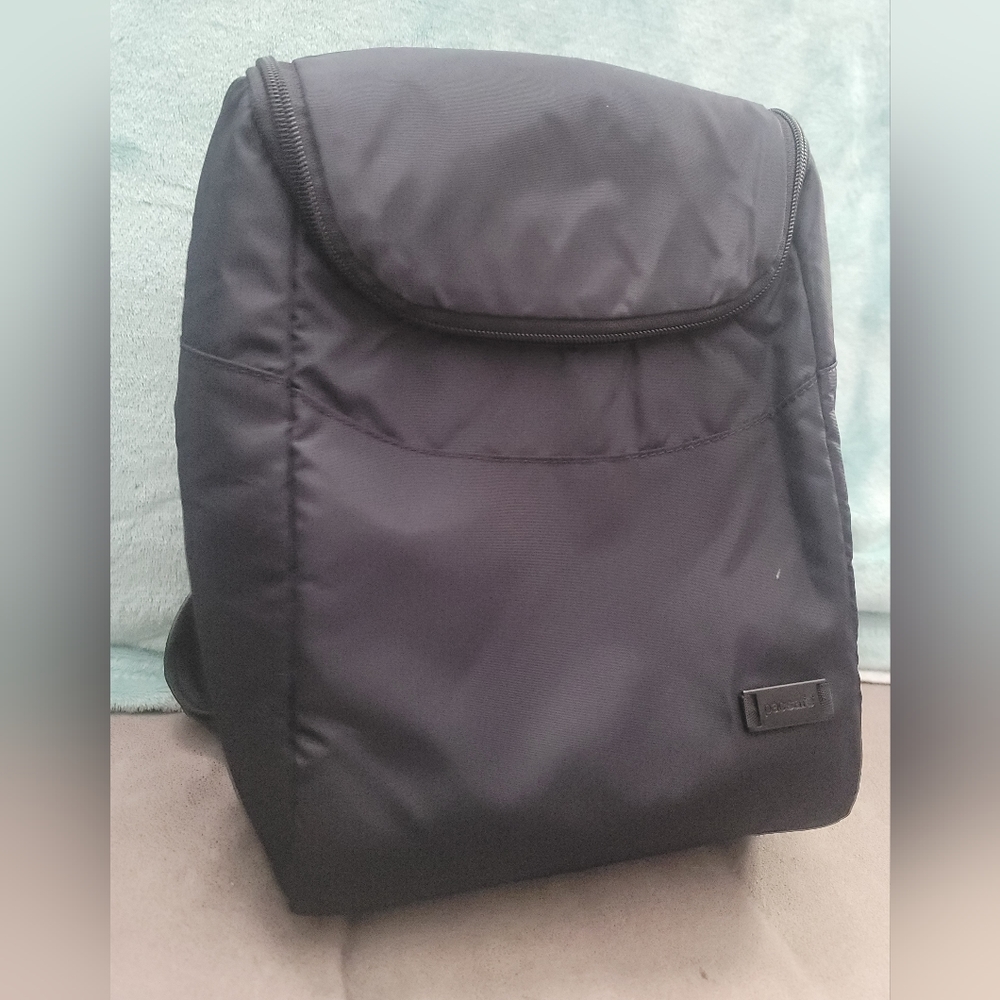 NWOT-Pacsafe Anti-theft Travel Backpack Citysafe 350 GII, Daypack